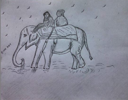NATURE SKETCH